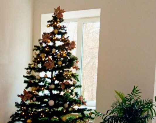 598918762_122110938219112183_8854576676038562345_n 598918762_122110938219112183_8854576676038562345_n