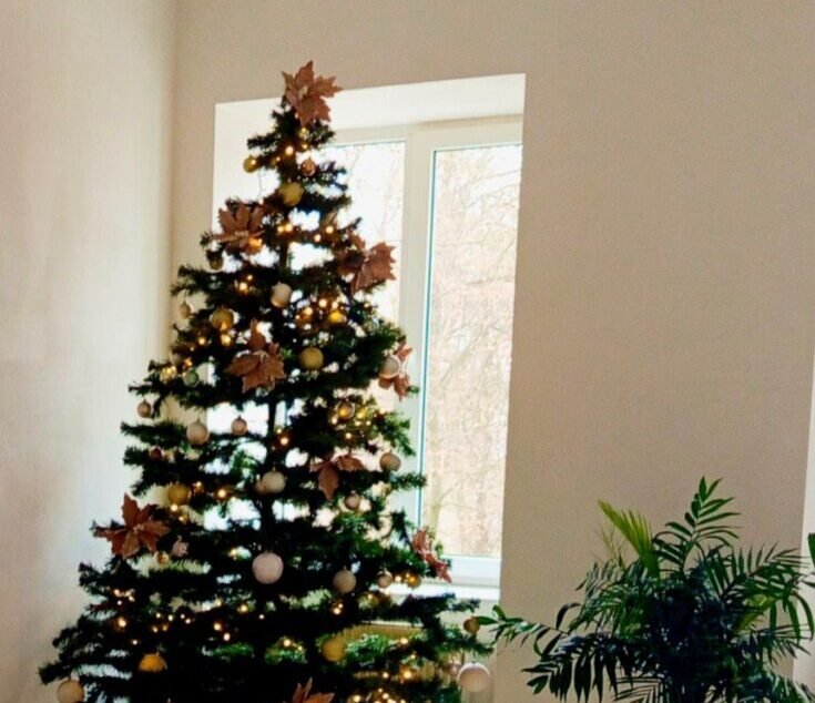 598918762_122110938219112183_8854576676038562345_n